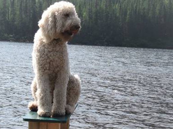 Les bonheurs de&nbsp;l&rsquo;été